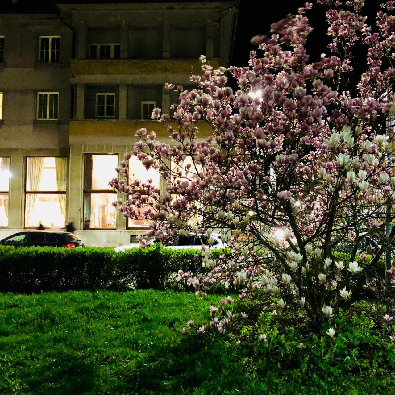 Hotel Narodny Dom Banska Bystrica Luaran gambar